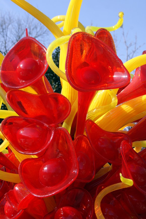 Chihuly 1