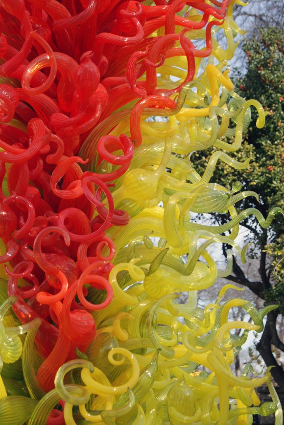 chihuly 3