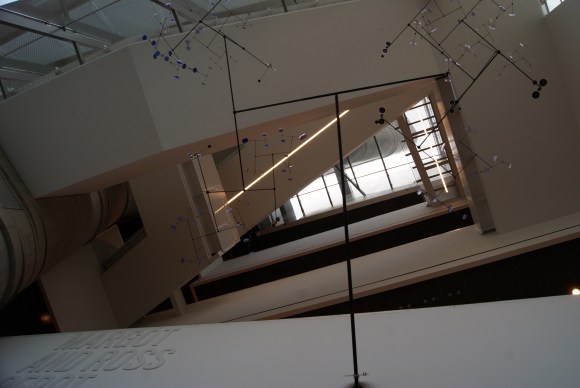 Perot Museum confusing 5