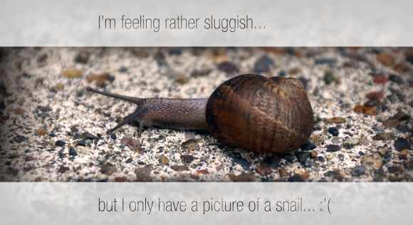 sluggish snail