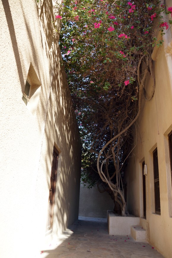 Historic Dubai Alley