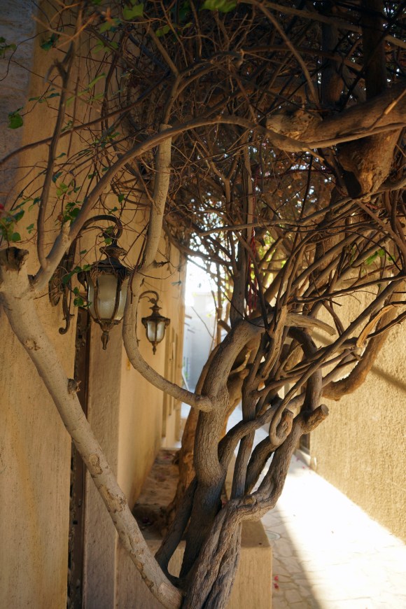 Historic Dubai Alley 2