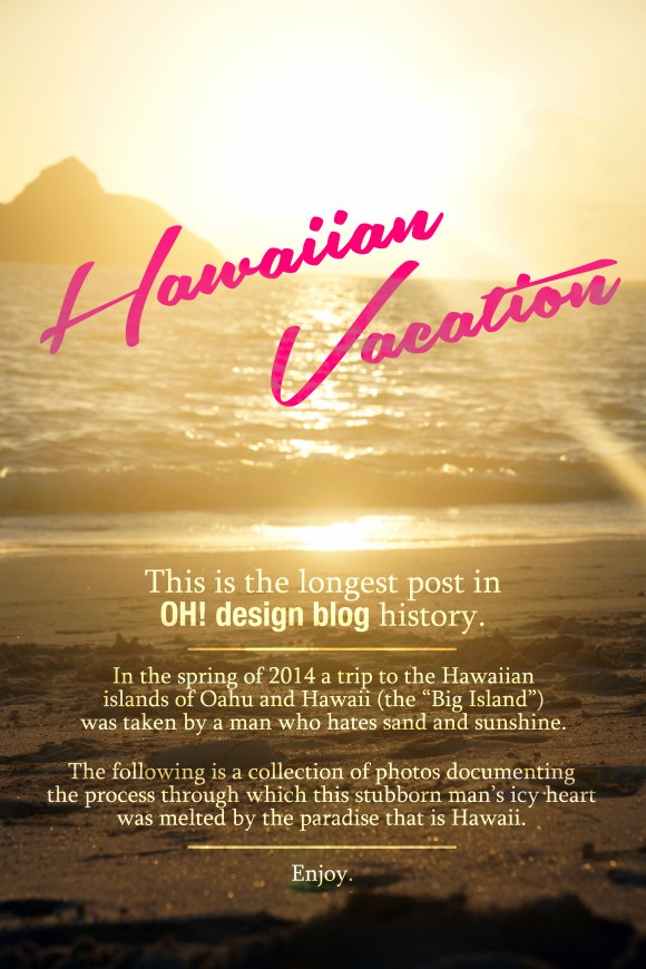 Hawaiian Vacation Intro Image