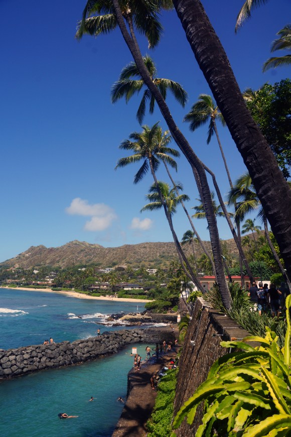 Hawaiian Vacation_Doris Duke Backyard 1