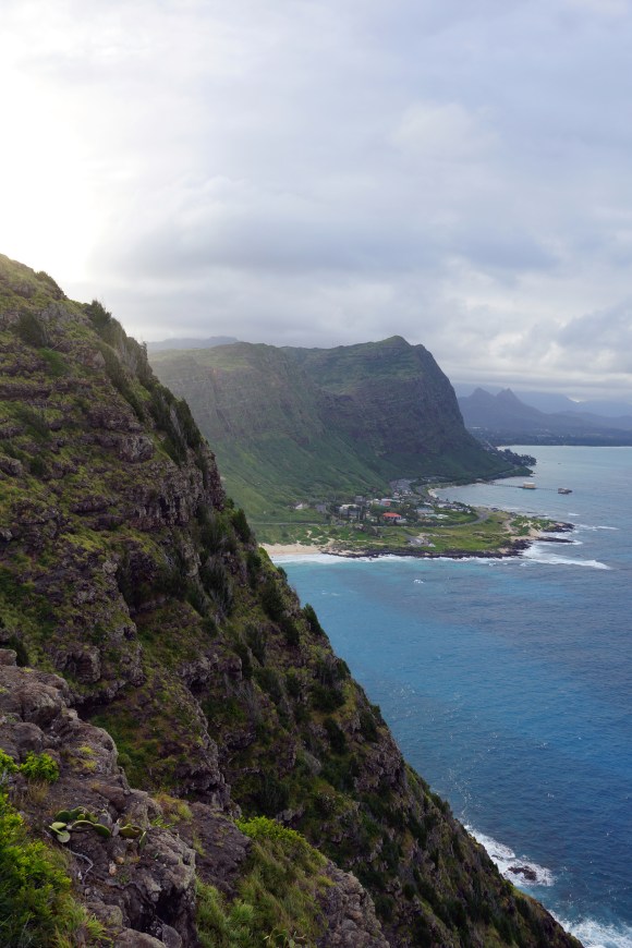 Hawaiian Vacation_Ocean hillside 1