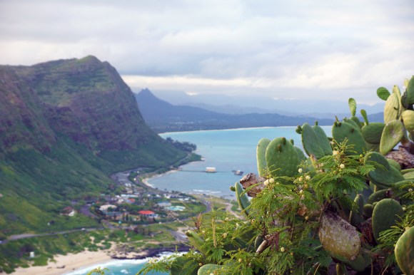 Hawaiian Vacation_Ocean hillside 2