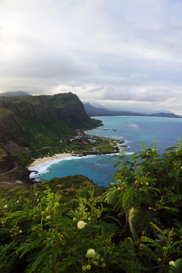 Hawaiian Vacation_Ocen hillside 2
