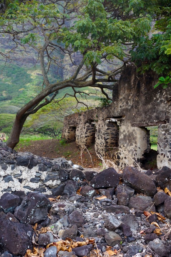 Hawaiian Vacation_Ruins 2