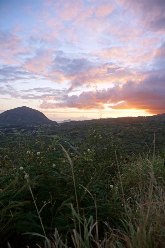 Hawaiian Vacation_Sunset sky with greens