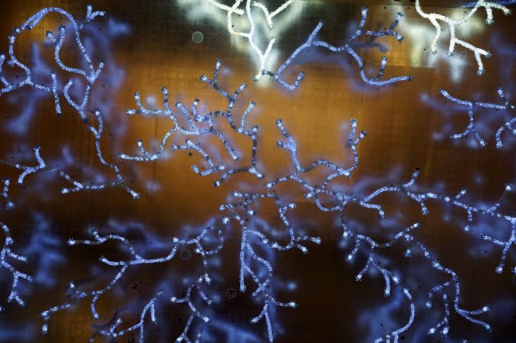 Ritz Carlton Texture UAE