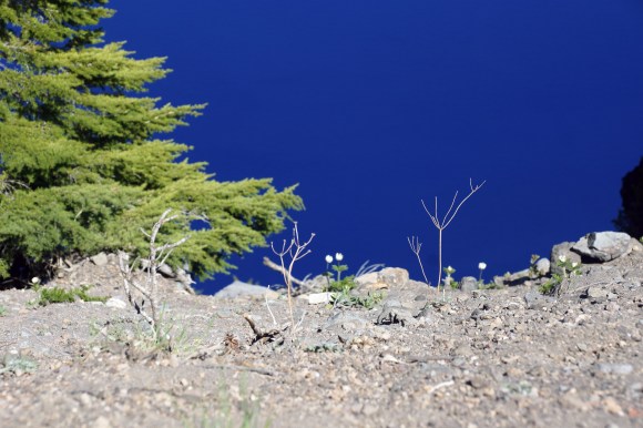 Crater Lake_Edge of the Lake