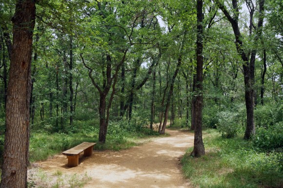 Elmer W Oliver Nature Park_Bench on trail