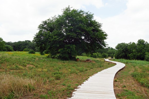 Elmer W Oliver Nature Park_Boardwalk 3