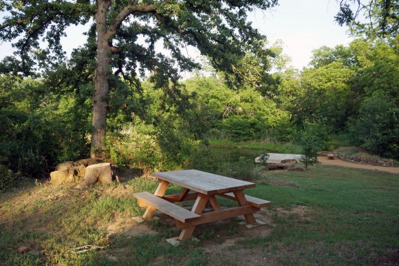 Elmer W Oliver Nature Park_Picnic Table