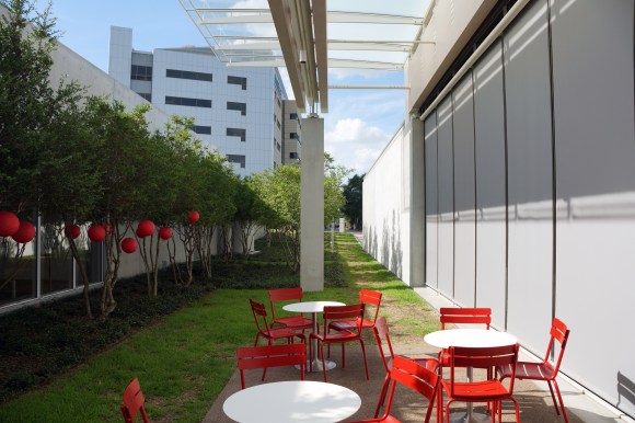 Kimbell Art Museum Addition_Courtyard