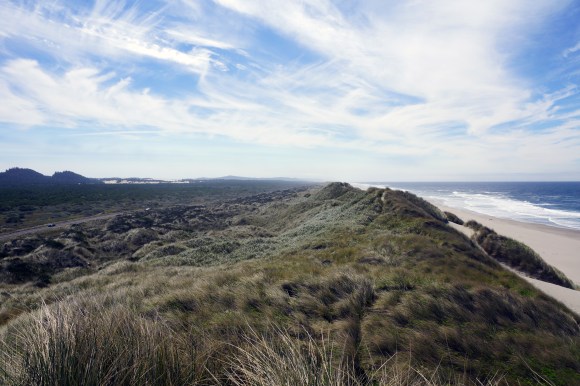 Coast Life_From atop the dunes