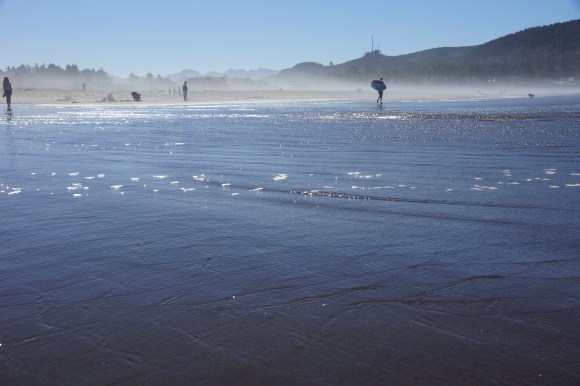 Coast Life_Ocean Mist