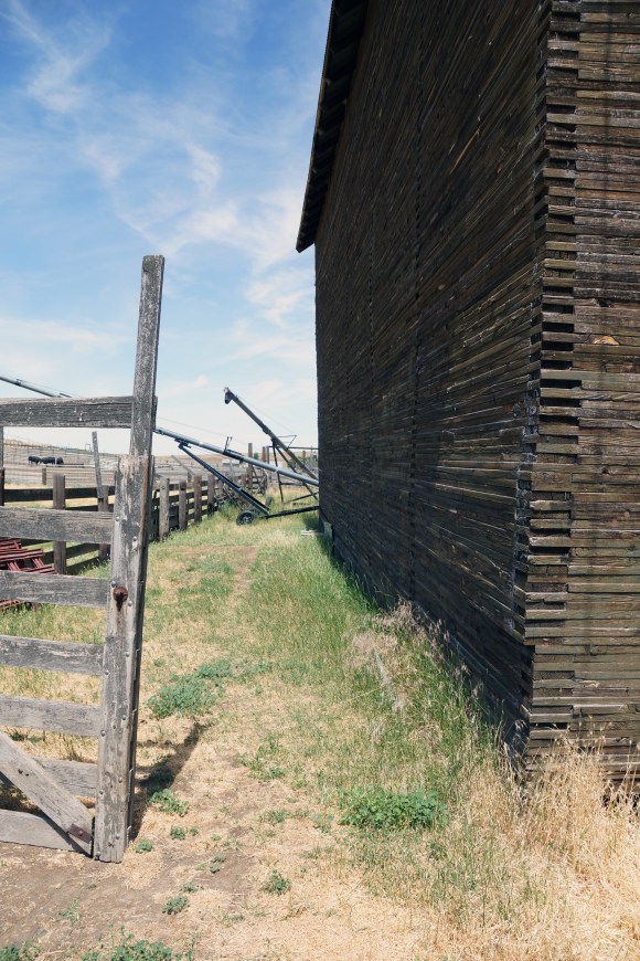 Imperial Stock Ranch_Cool Structure