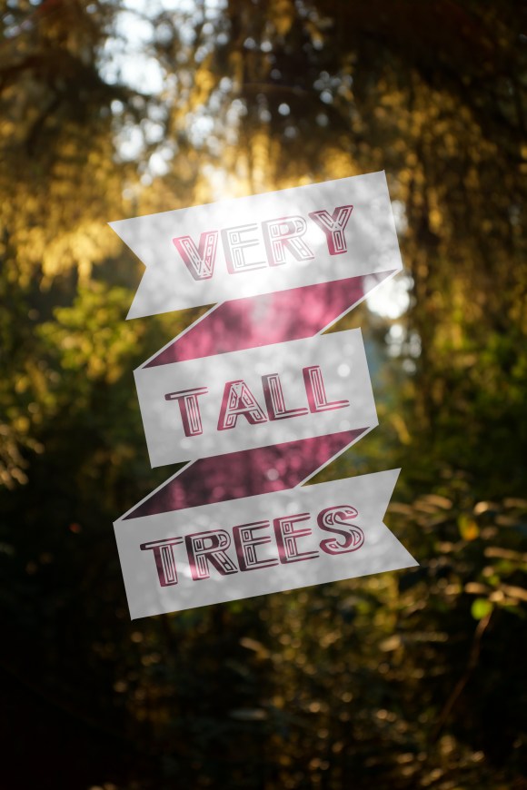 vERY tALL tREES_COVER