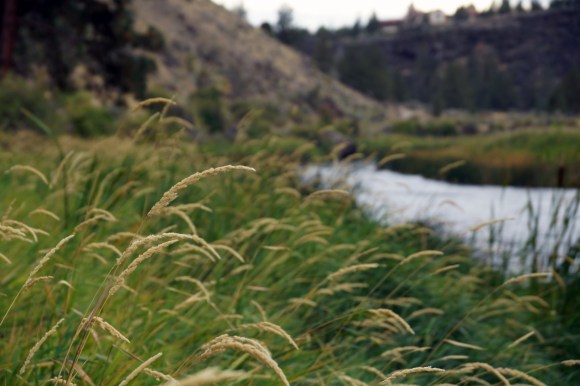 Smith Rock_River