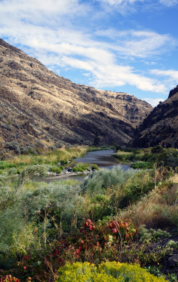 Painted Hills_Vegetaion