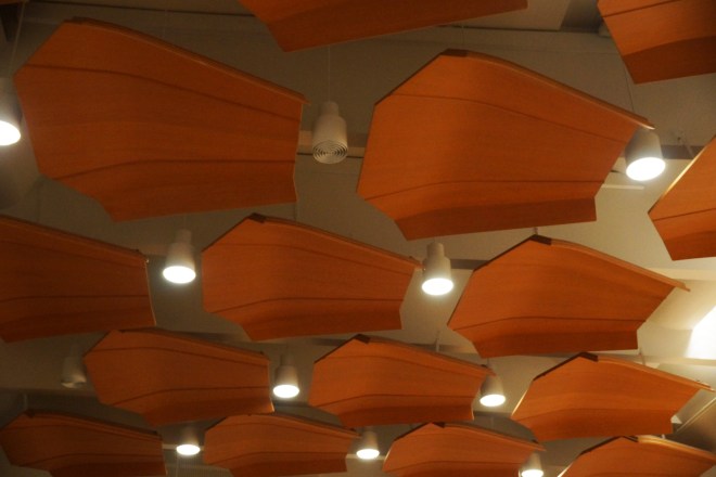 Finlandia_AcousticDuckFeet