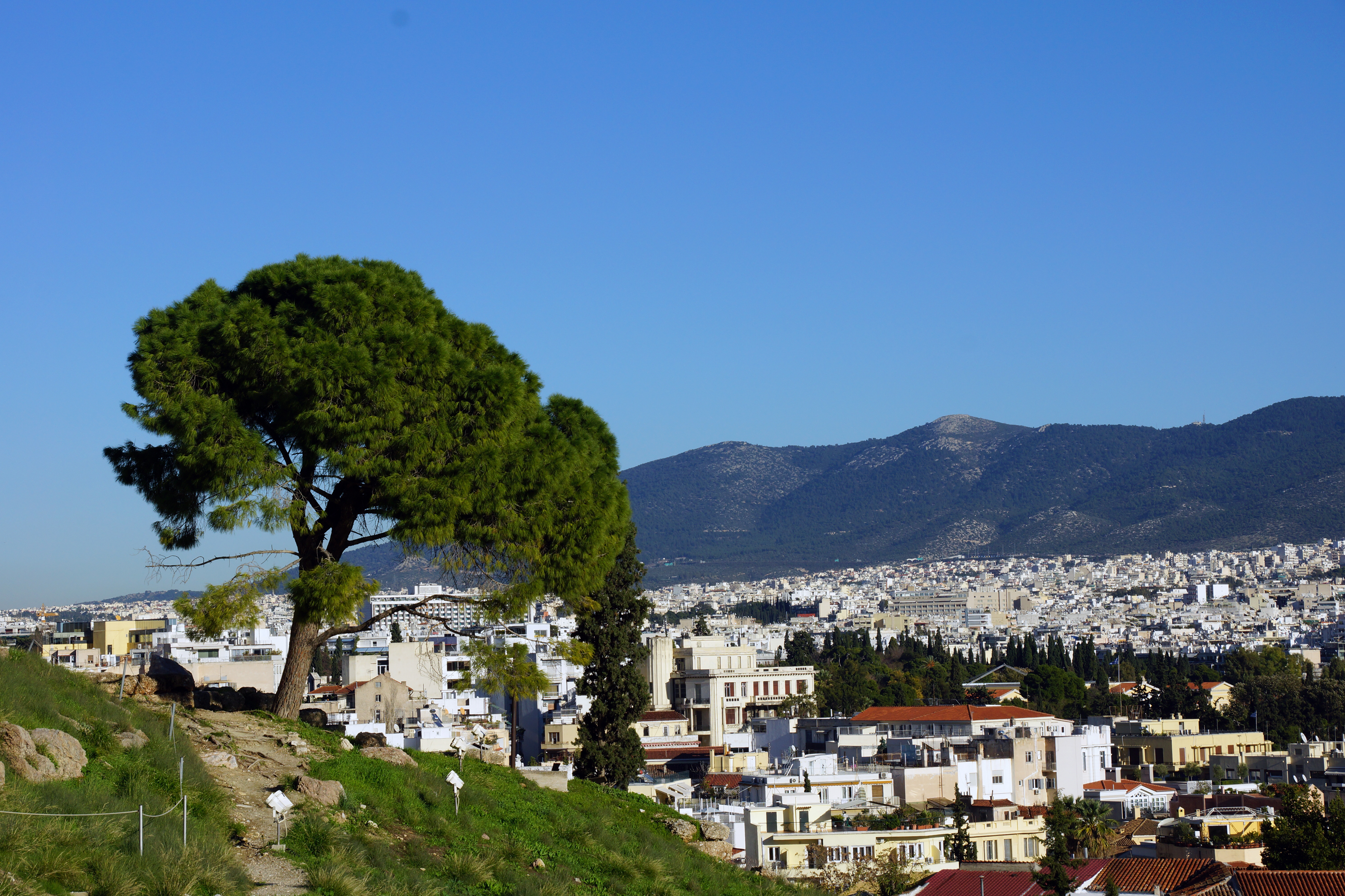 athens_greece_acropolishillside